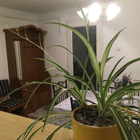 Levendula Apartmanhaz Apartment Sumeg Luaran gambar