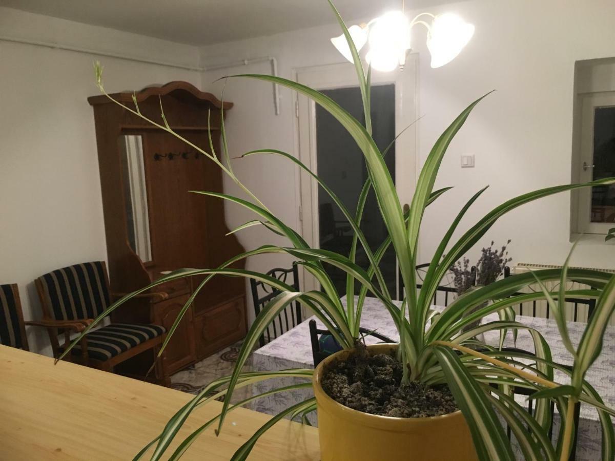 Levendula Apartmanhaz Apartment Sumeg Luaran gambar